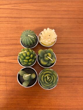 Decorative Green Succulent Tealight Candle Set - Unbranded